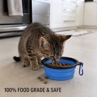 Gamelle pliable pour chien, qualité alimentaire, 100% silicone, 65g, solution fiable pour la marche, la randonnée, l'escalade, gamelle de voyage pour animaux de compagnie