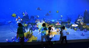 3D màn hình lớn AR tường chiếu phần mềm tương tác vẽ trò chơi trẻ em tương tác vẽ tường chiếu - Product Image 5