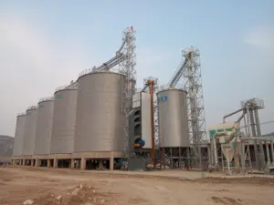 Fazenda de aves alimentação do moinho usado 50 100 200 500 1000 toneladas de milho trigo animal soja ração para aves silo de armazenamento