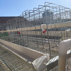 Système d'élevage avicole automatique à 4 niveaux pour poules pondeuses, type batterie, capacité 120 à 5000 oiseaux, pour la production d'œufs - Product Image 5