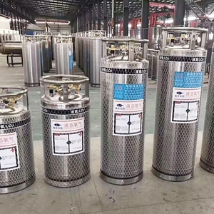 Support interne DPW Bulk Tank DPL 110L Liquid Argon Bulk Liquid Azote Container Tank for Education - Product Image 4