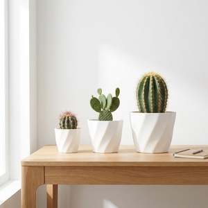 Macetas de Plástico Coloridas de Forma Octogonal, Macetas de Interior para Escritorio, Diseño Moderno y Minimalista para Cactus, Tamaño Mediano - Product Image 6