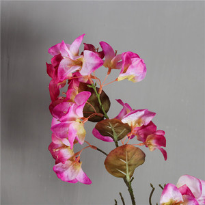 <span class=keywords><strong>Bougainvillier</strong></span> suspendu à longue <span class=keywords><strong>tige</strong></span> artificielle fleur de <span class=keywords><strong>bougainvillier</strong></span> <span class=keywords><strong>en</strong></span> soie décorative d'intérieur et d'extérieur pour la décoration - Product Image 4