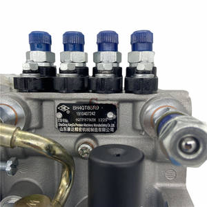 康达正品新款喷油泵型号4QTF879ZH BH4QT85R9 - Product Image 3