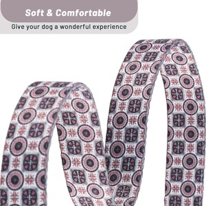 Luxury Custom Polyester Small <strong>Dog</strong> <strong>Collar</strong> with Animal Pattern Elegant Rose Gold Buckle Breakaway Anti-Choke Design Sash <strong>Bell</strong> - Product Image 4