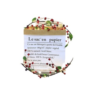 LED Rattan <b>Lights</b> With Red Berries And Green Leaves <b>String</b> <b>Lights</b> For Christmas Home Decor Warm <b>Light</b> 20000H Life - Product Image 5