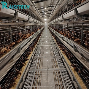Sistema <span class=keywords><strong>de</strong></span> Jaulas Automáticas Tipo H para Gallinas Ponedoras, Maquinaria para Producción <span class=keywords><strong>de</strong></span> <span class=keywords><strong>Huevos</strong></span>, Acero Galvanizado en Caliente, Equipo para Granjas Avícolas - Product Image 2