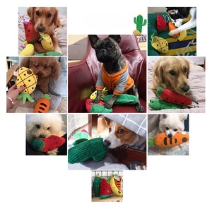 Giocattoli per Cani a Forma di Frutta Vivace con Suono, Anguria, Ananas e Fragola, Giochi da Masticare Resistenti per Animali Domestici - Product Image 6