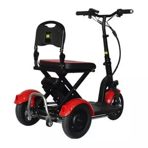 3 Wheel Double Seat Luxury Outdoor Foldable Electric Motorcycle Mobility Scooter Tricycle