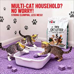 Bentonite de sodium et litière pour chat, bac à litière pour chat avec charbon actif, biodégradable, jetable, écologique, sans poussière, sans obstruction - Product Image 1