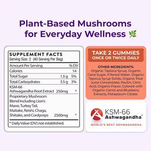 เยลลี่เห็ด 8 in 1 อาหารเสริมออร์แกนิก บำรุงสมอง สมาธิ ภูมิคุ้มกัน พลังงาน ด้วยสารสกัดจากอัชวกันดาและเห็ดหลินจือ - Product Image 6