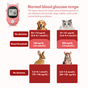 Nouveau kit technologique, lecteur de glycémie pour animaux de compagnie, réutilisable, portable, sûr, fiable, facile à utiliser, pour chats, chiens, bandelettes de <span class=keywords><strong>test</strong></span> du diabète - Product Image 2