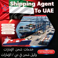 Agente de Transporte Marítimo, Agente de Transporte Internacional en el Aeropuerto Internacional de Dubái, Emiratos Árabes Unidos, Agente de Transporte de Carga