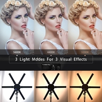 Kit d'éclairage vidéo LED à intensité variable OEM en livraison directe, kit d'éclairage vidéo LED d'éclairage de photographie pour la diffusion en direct, YouTube