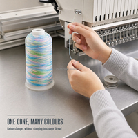 Fil acrylique pour broderie plate imitant la broderie à la main, 24S 2 brins, 240 couleurs, 1500m, vente en gros usine
