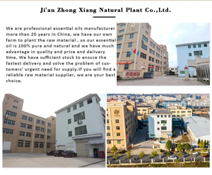 Olio essenziale naturale camera Spray deodorante profumo casa ufficio profumo deodorante profumatore per abiti odore fragranza - Product Image 4