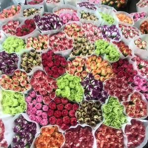 Fleurs en vrac <span class=keywords><strong>de</strong></span> carnations et <span class=keywords><strong>de</strong></span> lys coupées fraîches 100% naturelles multicolores, 1 tige, export, pour la décoration <span class=keywords><strong>de</strong></span> la maison et des fêtes - Product Image 3