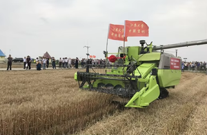 Mini moissonneuse-batteuse Machine haute productivité outil agricole entraîné par tracteur pour riz blé maïs arachide engrenage d'ensilage - Product Image 2