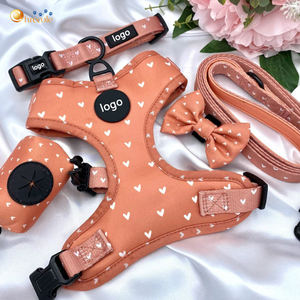 Conjunto de Arnés y Correa para Perro Personalizado de Lujo Ajustable, Arnés para Perro con Sublimación Personalizada, Arnés para Perro con Estampado de Moda - Product Image 1