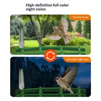 Mangeoire à oiseaux intelligente automatique à énergie solaire avec caméra intégrée pour oiseaux d'extérieur et jardin, fabriquée à Shenzhen