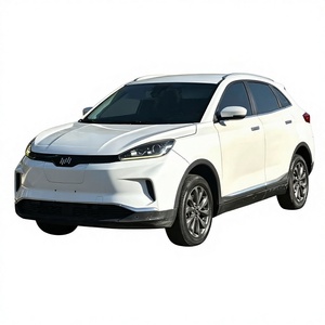 Ottimo Rapporto Qualità-Prezzo WEIMA WM EX5 Veicolo Elettrico a Nuova Energia con Autonomia di 403km, Motore da 160kW, Batteria da 53kWh, Coppia di 225N.m, WLTC 403km - Product Image 1