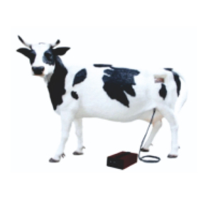 Gelsonlab HSBM-532 Giải Phẫu PVC Mô Hình Công Cụ Đào Tạo Nhân Tạo Thụ Sinh Gia Súc Y Tế Khoa Học Sinh Viên Y Tế Trường Học - Product Image 1