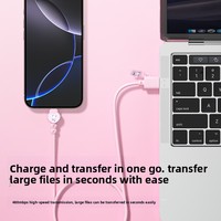 Câble de données en PVC sur le thème des dessins animés Sanrio avec fonction de charge et de transfert de données, compatible Type-C, câble de charge rapide de 1 mètre, modèle DK-72
