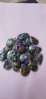 Prix de gros premium Alba Gems Modèle 54 Coquille d'ormeau naturelle, pierres précieuses de formes variées à effet lumineux pour la fabrication de bijoux DIY pour femmes