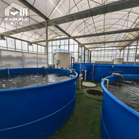 Système d'aquaponie en serre clé en main commercial, kit complet pour l'élevage biologique de poissons et de légumes