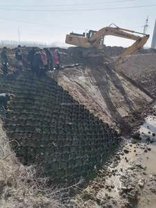 HDPE geocell cho bảo vệ dốc Kết cấu bề mặt nhẵn nhựa geocell - Product Image 3