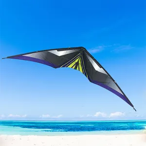 Personalizado dois power parafoil kite esporte de energia mais forte para treinamento e voo power kite