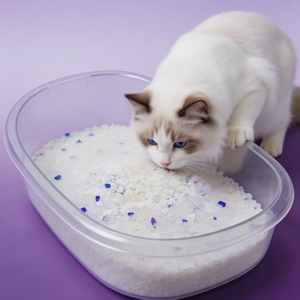 DongnaiPETS Litière pour chats biodégradable agglomérante, anti-odeur à la lavande, jetable dans les toilettes, au charbon actif, gel de silice, fibre de pois et amidon de maïs - Product Image 1