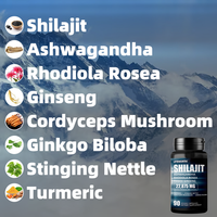 LIFEWORTH en Stock : Capsules de Shilajit de l'Himalaya à Potentiel Maximum avec Acide Fulvique et Oligo-éléments