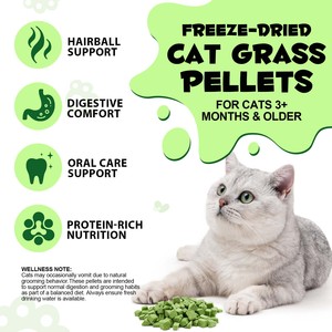 Oimmal - Snacks de Hierba Gatera para Gatos, Control de Bolas de Pelo, Salud Bucal, Natural, Orgánico, Fresco, Liofilizado, al por Mayor - Product Image 3