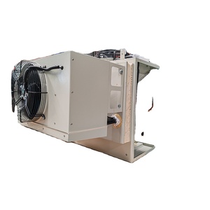 Unità Refrigerante Integrata Monoblocco All-in-One per Cella Frigorifera Industriale <span class=keywords><strong>con</strong></span> <span class=keywords><strong>Compressore</strong></span> Scroll e <span class=keywords><strong>Motore</strong></span> Ecologico a Refrigerazione Automatica - Product Image 1