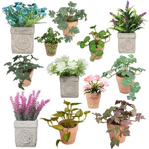 Mini tallo suculento Artificial DIY, rosa blanca y planta de imitación de plástico <span class=keywords><strong>Echeveria</strong></span> para decoración del hogar para Navidad, Día DE LA Madre - Product Image 1