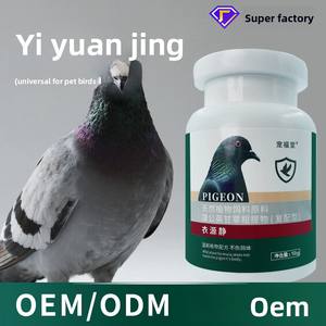 Suplemento en Polvo para la Salud Interna de Aves, para la Caída de Plumas, Fuente de Alimentación para Palomas Mensajeras - Product Image 2