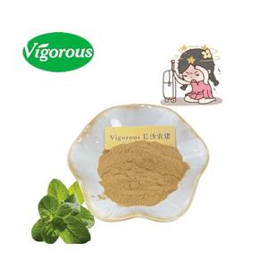 ヘルスケアの純粋な天然ミントエキス - Product Image 1