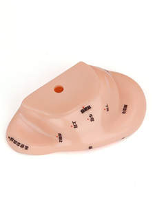 Modelo de <span class=keywords><strong>Acupuntura</strong></span> de Material de PVC de 18 cm, Clase I, para el Estudio de <span class=keywords><strong>Acupuntura</strong></span> y Meridianos - Product Image 4