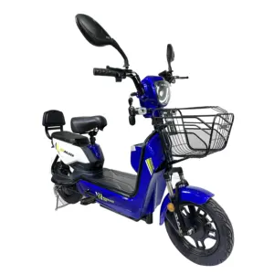 Cheap Chinese Scooter For Sale Electric Double Seat Bikes Electric Bike Cheapest Small E Bike Electric Bicycle 500w Ebike 14inch