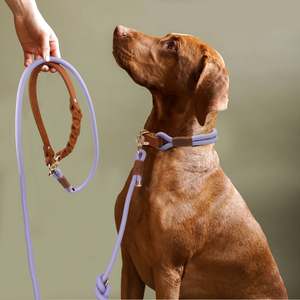 Conjunto de <span class=keywords><strong>collar</strong></span> y correa de cuero para perro, conjunto de <span class=keywords><strong>collar</strong></span> de entrenamiento moderno ajustable de Color plomo personalizado trenzado a mano duradero de lujo para mascotas - Product Image 6