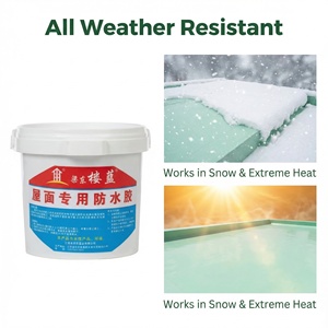 BIAOYUAN Revêtement transparent imperméable en acrylique moderne respectueux de l'environnement Garantie de 5 ans Format liquide pour mur extérieur - Product Image 1