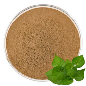 Натуральный экстракт листьев батата (Ipomoea Batatas) 4:1, экстракт листьев сладкого картофеля - Product Image 1