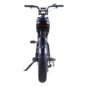 Ebike biciclettes Grasse elettricte bicicletta <span class=keywords><strong>bici</strong></span> Elettrica 1000W 500W Uomo eletrica <span class=keywords><strong>bici</strong></span> electrica <span class=keywords><strong>de</strong></span> <span class=keywords><strong>Montana</strong></span> Electric bicy - Product Image 5
