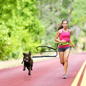 Riñonera deportiva con correa para perro, con tiras reflectantes, impermeable, para correr, ciclismo y caminar - Product Image 4