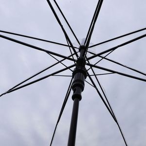 Parapluie Transparent de Gros pour Usine, Parapluie Droit à 8 Baleines à Ouverture Automatique avec Longue Poignée, Parasol Soleil & Ombre - Product Image 3