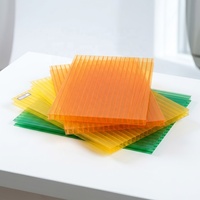 Panneaux de toiture en polycarbonate double couche transparents pour serres et véranda, plaques alvéolaires en polycarbonate