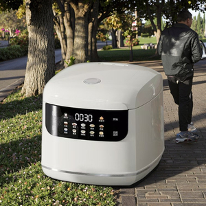 Cuisinière à riz mini 2L 2025 dernière génération pour 3-4 personnes, antiadhésive, intelligente, petite, multifonctionnelle, fabricant d'usine de cuisinières à riz - Product Image 2