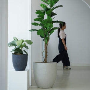 Macetas de Cemento de Gran Tamaño con Efecto <span class=keywords><strong>Terrazo</strong></span>, Diseño Moderno, Ecológicas, para Interiores y Exteriores, Decoración para Jardín y Hogar - Product Image 5
