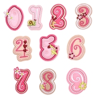 Patchs brodés miniatures roses fantaisie et mignons à motifs de dessins animés, thermocollants ou à coudre pour vêtements, casquettes et chapeaux